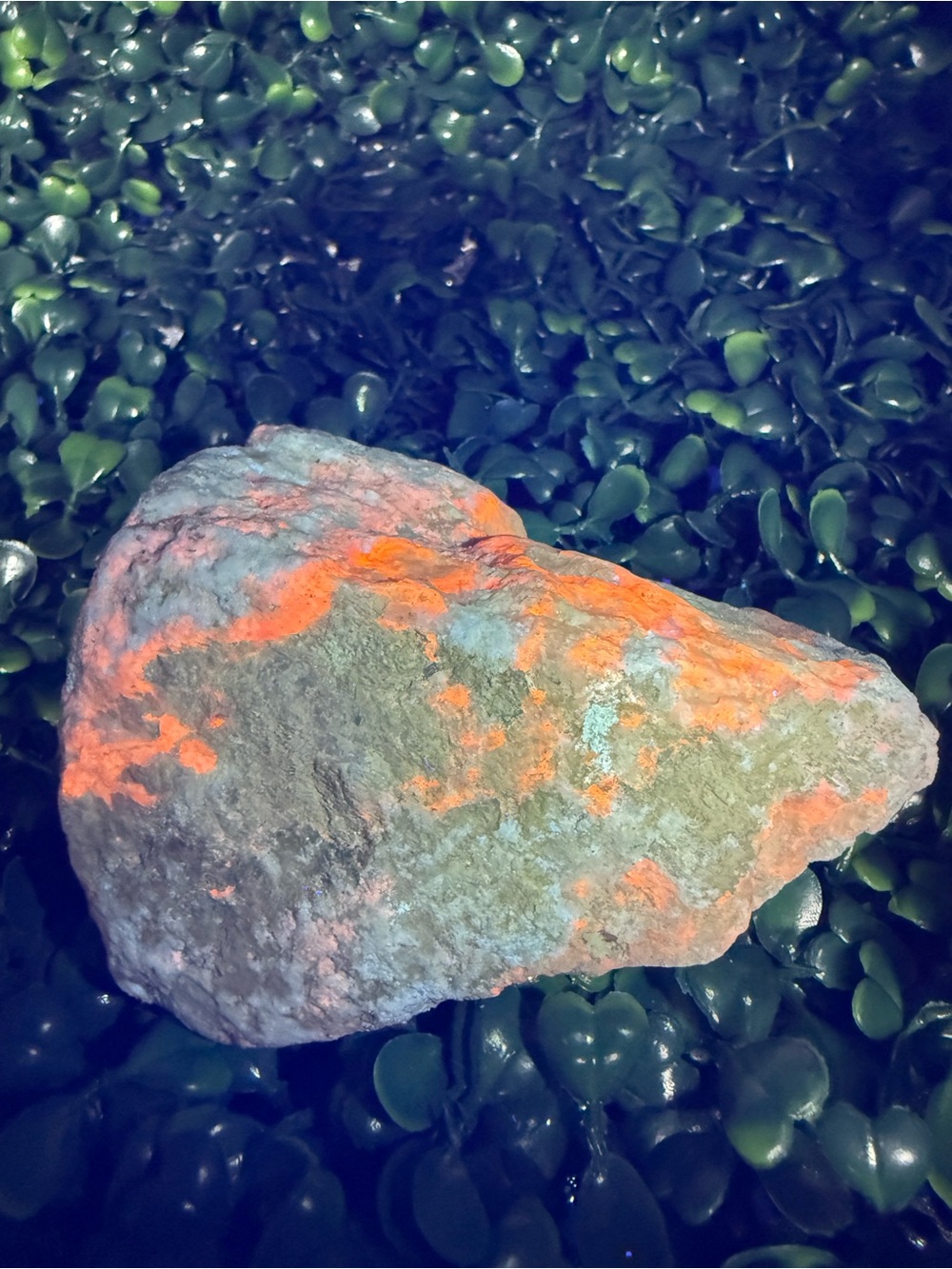 Rough Hackmanite – Natural Tenebrescent Feldspathoid Specimen